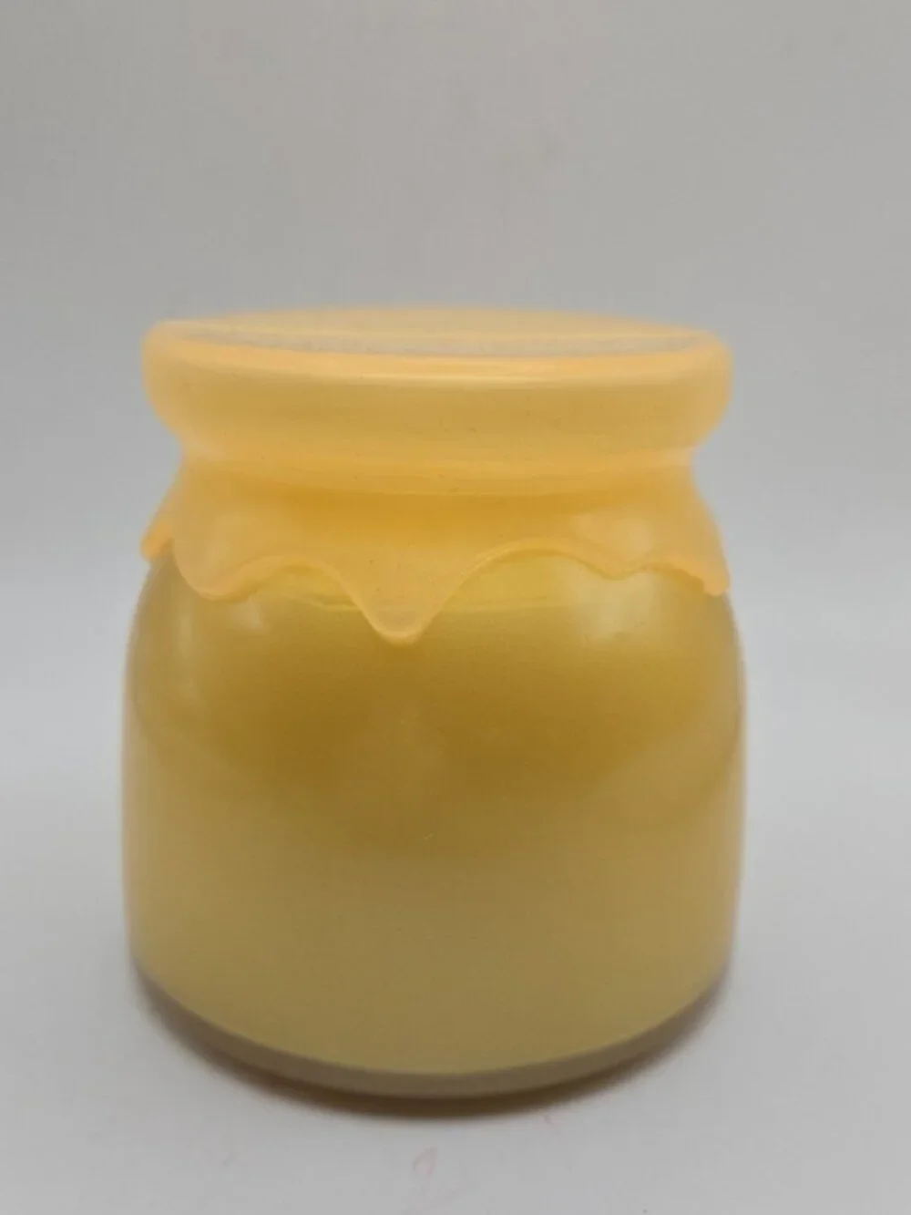 CLEARANCE DW Home Sweet Vanilla Honey Jar Candle